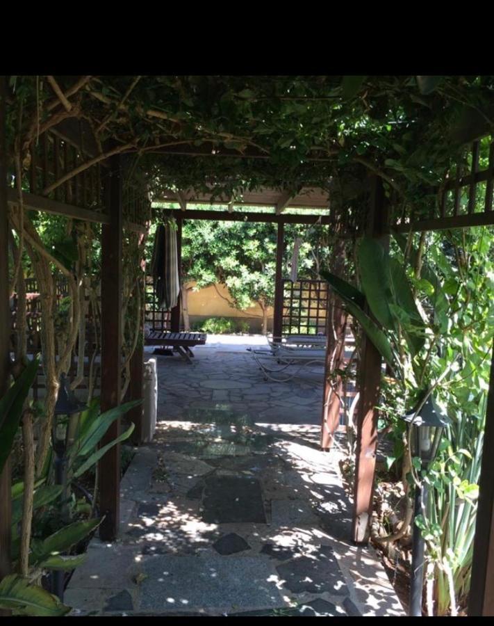Villa Natalia Айя-Напа Екстер'єр фото