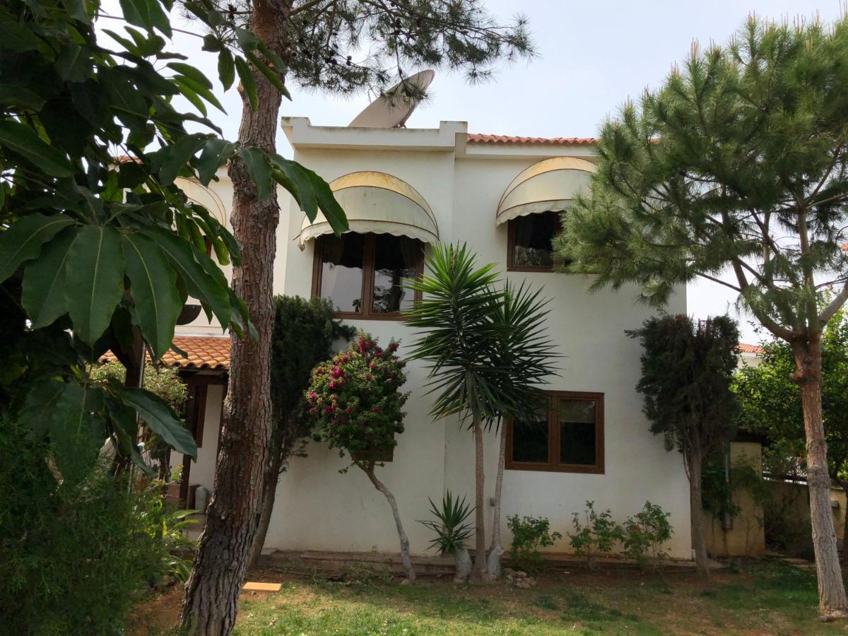 Villa Natalia Айя-Напа Екстер'єр фото